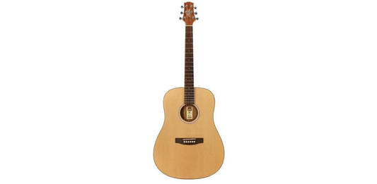 Ashton D20SNTM Solid Top Acoustic Guitar