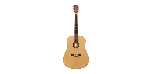 Ashton D20SNT Dreadnought Solid Top Acoustic Guitar
