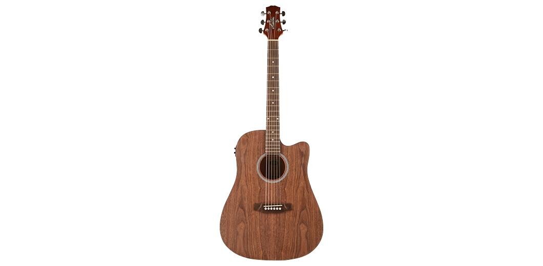 Ashton D20CEQOV Dreadnought Cutaway And Eq