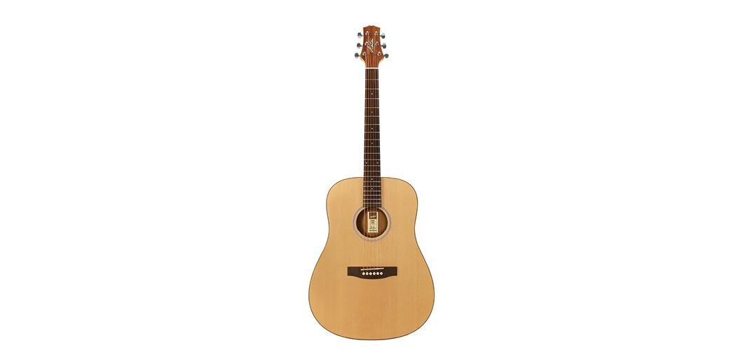 Ashton D20 Nt Acoustic Guitar