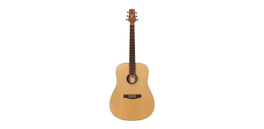 Ashton D20 Nt Acoustic Guitar