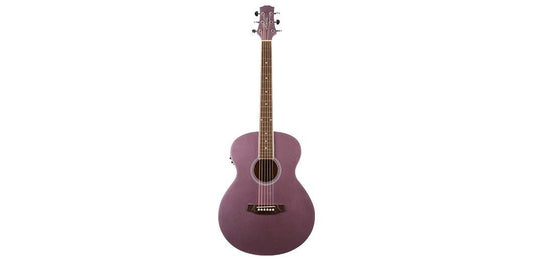 Ashton SL20EQLS Slimline Acoustic Eq