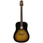 Ashton D20 Tobacco Sunburst & Apwcc Pack