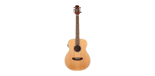 Ashton JJR20EQNTM Junior Jumbo Eq