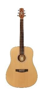 Ashton D20EQNTM Dreadnought Acou/Elec Matt Nat