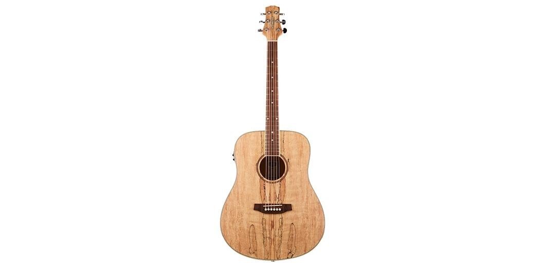 Ashton D26EQ Spm Dreadnought Spalted Maple Eq