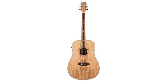 Ashton D26EQ Spm Dreadnought Spalted Maple Eq