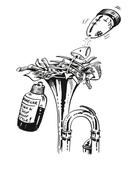 Trumpet Basics Greeting Cards