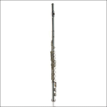 Ashton Flute Student Silverplated Outfit Fl10 — view 2