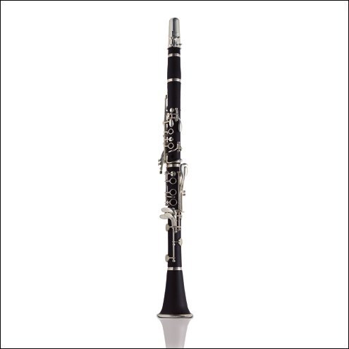 Ashton B Flat Clarinet Outfit Matte Ebonite Cl10 — view 2