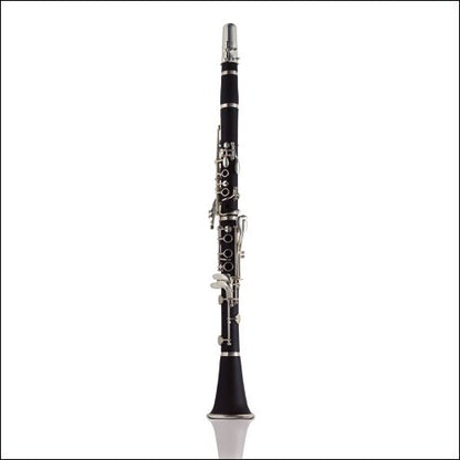 Ashton B Flat Clarinet Outfit Matte Ebonite Cl10 — view 2