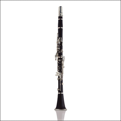 Ashton B Flat Clarinet Outfit Matte Ebonite Cl10