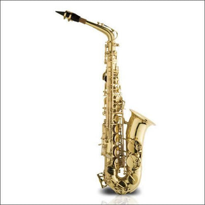 Ashton ALTO Saxophone Outfit Lacquer Sx10 — view 2