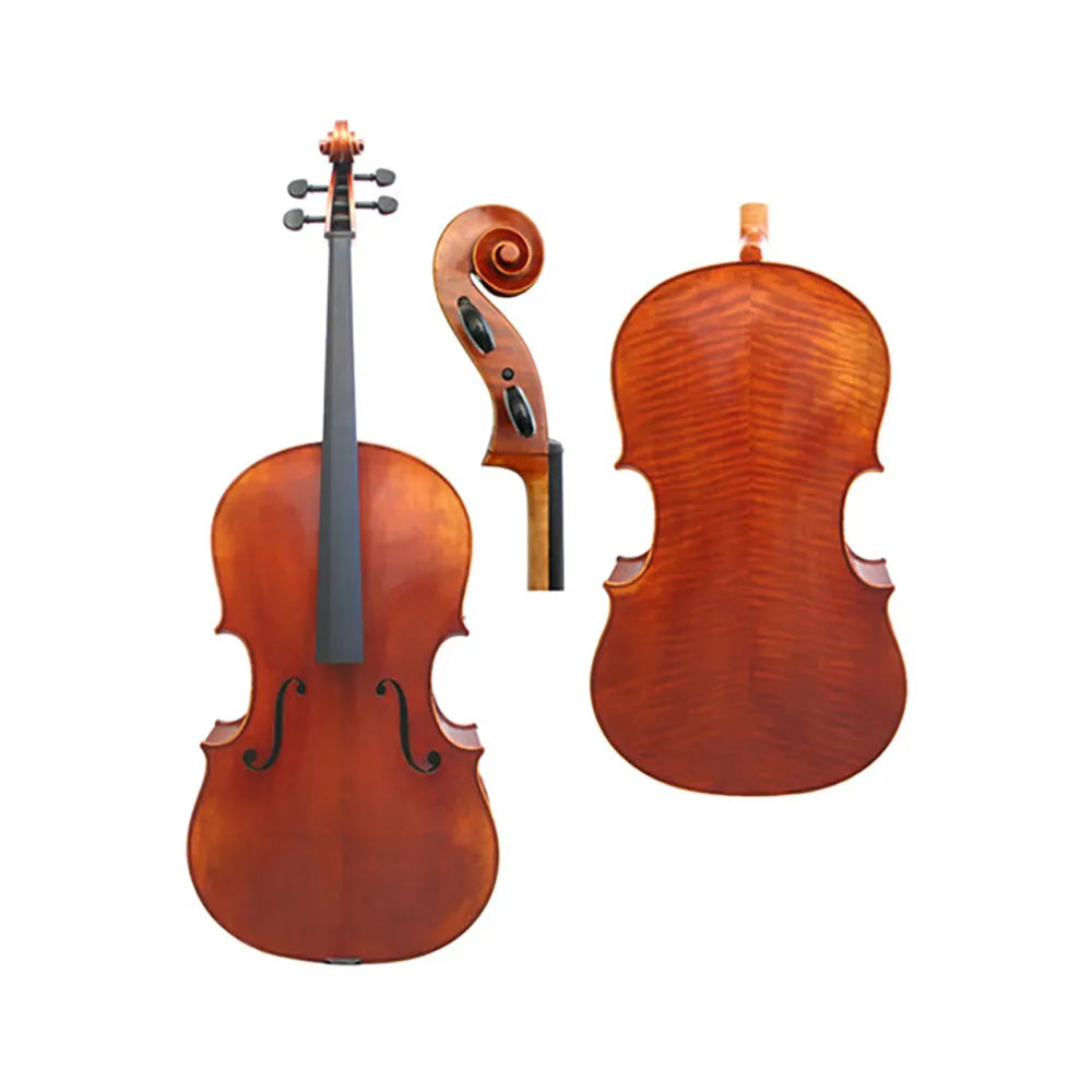 Raggetti Master Cello No.6.0 Sleeping Beauty 1739 - Solid Spruce & Maple, Oil Varnish, Professional Instrument, Advanced Series