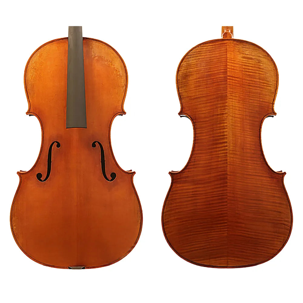 Raggetti Master Cello No.6.1 Rocca - Advanced Instrument, Solid Spruce Top, Flamed Maple Back, Rosewood Pegs, Ebony Fingerboard, Oil Varnish