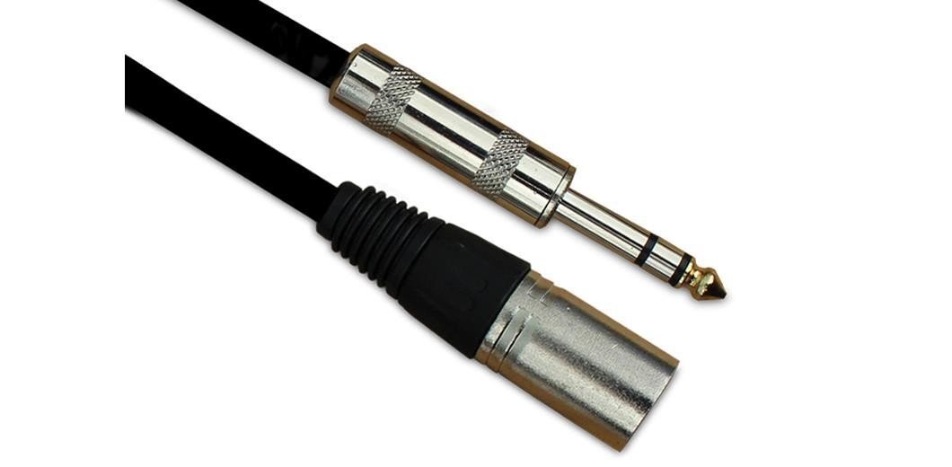 Armour CJPM10 Hp Xlrmale/Jack (Trs)