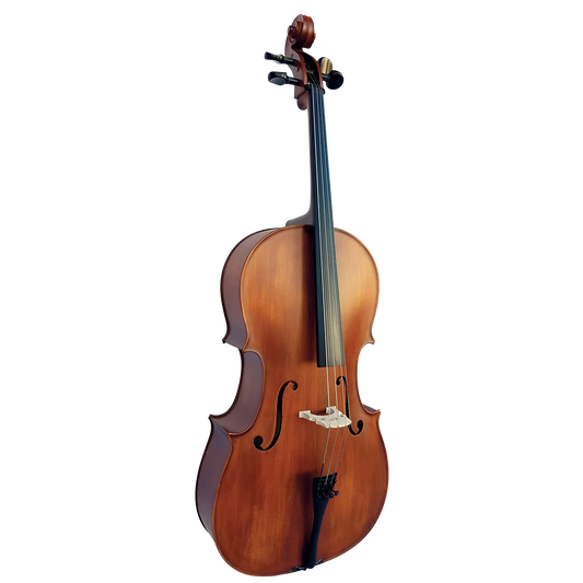 Vivo Student 1/2 Cello Outfit with Lightweight Case or Padded Bag