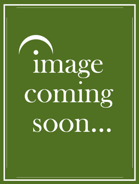 AMEB Analytical Notes PFL Series 4 Grade 2 by Ross Hamilton