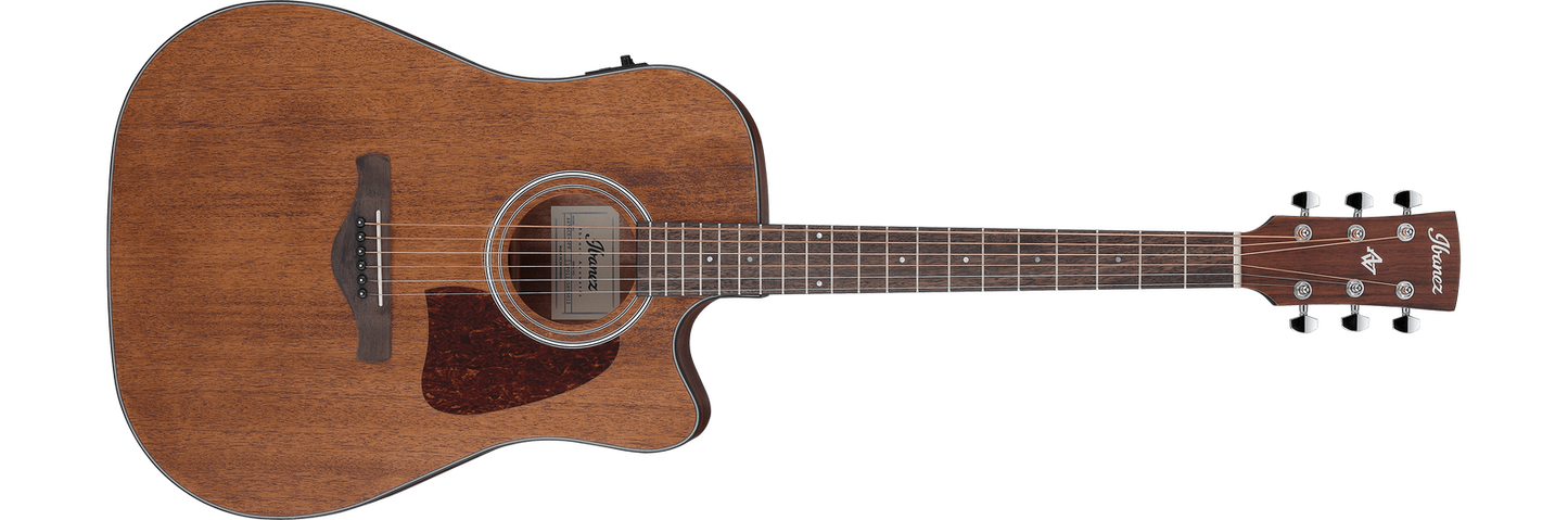 Ibanez Artwood AW54CE Acoustic Guitar Natural