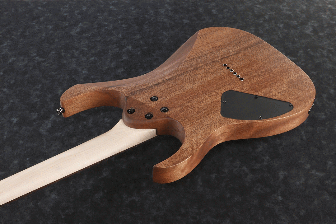 Ibanez RG421 MOL Electric Guitar (Mahogany Oil) — view 2