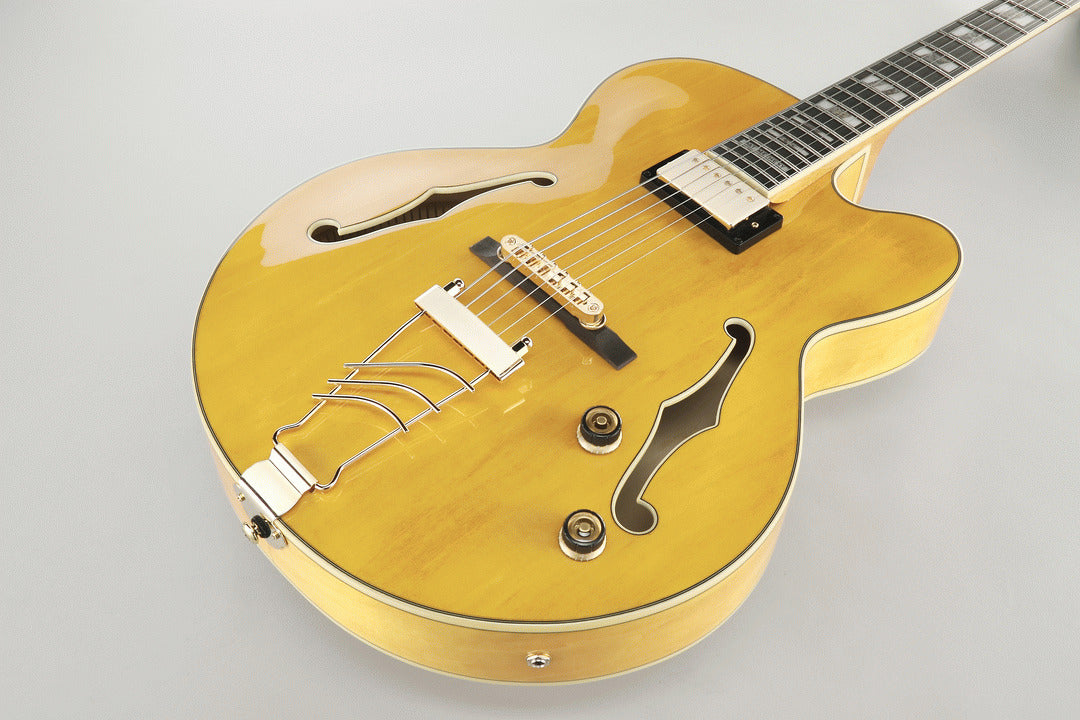 Ibanez Pm2 Aa Pat Metheny Signature Guitar — view 2