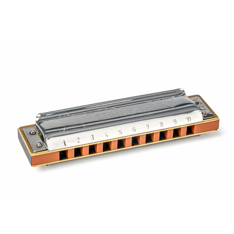 Hohner Sonny Terry 10-Hole Diatonic Harmonica