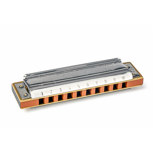 Hohner Sonny Terry 10-Hole Diatonic Harmonica