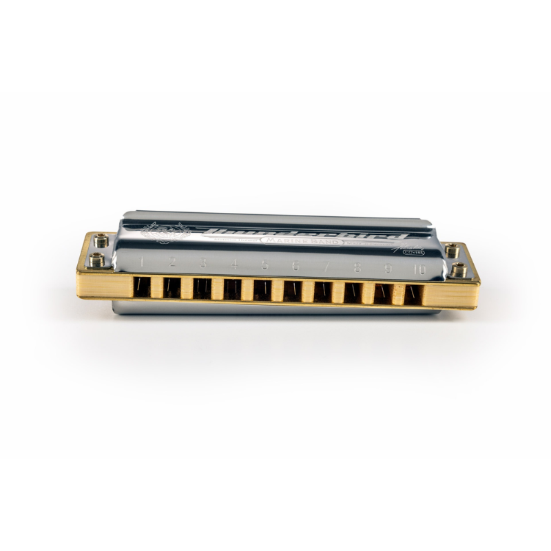 Hohner Thunderbird Harmonica Low A — view 2