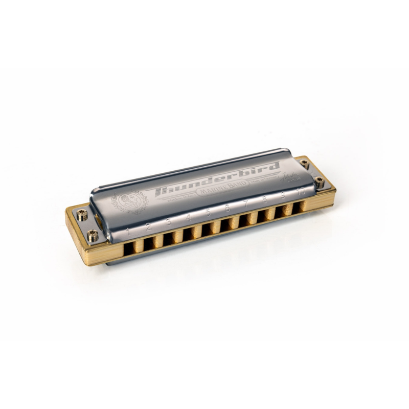 Hohner Thunderbird Harmonica Low C