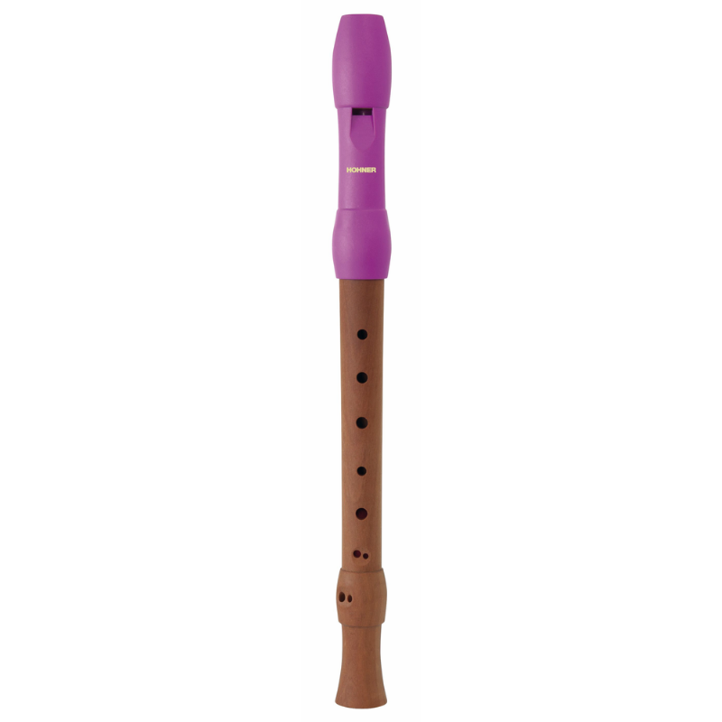 C-Soprano 2PT Wood Body Plastic Hard Piccolo Recorder