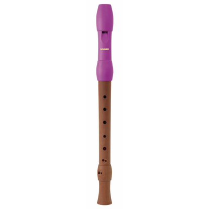 C-Soprano 2PT Wood Body Plastic Hard Piccolo Recorder