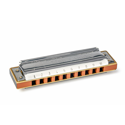 Hohner Sonny Terry 10-Hole Diatonic Harmonica