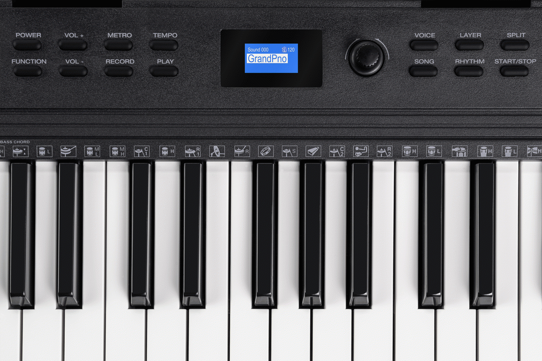 Alesis Teacher's Choice 61-Key Light-Up Keyboard Bundle w/ Skoove Lessons - view 6