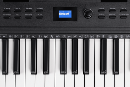 Alesis Teacher's Choice 61-Key Light-Up Keyboard Bundle w/ Skoove Lessons - view 6