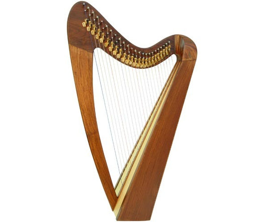 Folk Harp - 24 String Plain Sides w/Bag