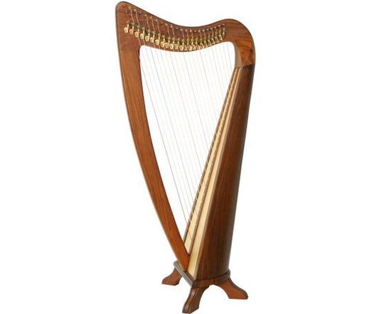 Folk Harp - 22 String Plain Sides - Round Back w/Bag
