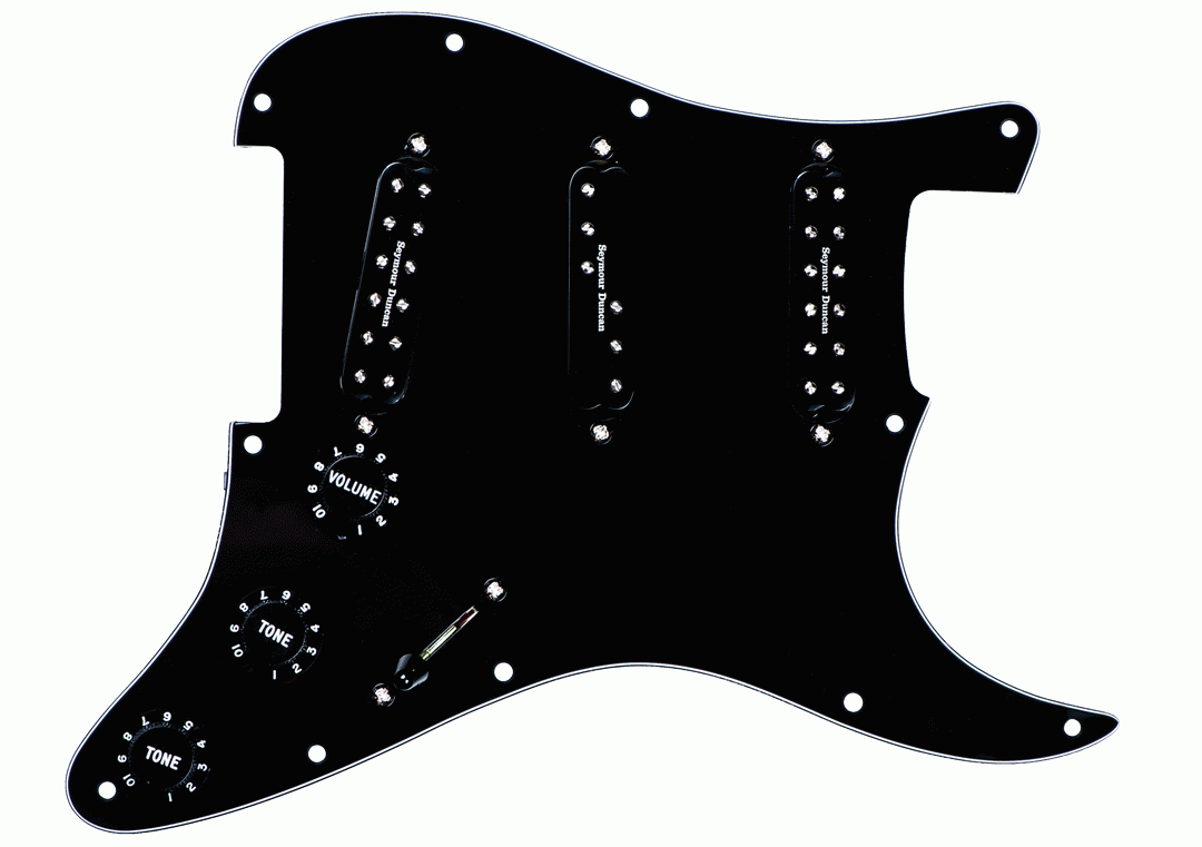 Seymour Duncan Pickguard Assembly Everything Axe Black Pickup