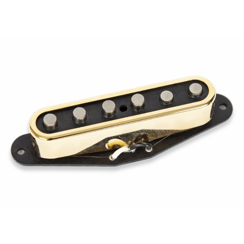 SD Lari Basilio Telecaster Middle Gold Cover