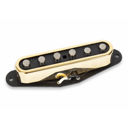 SD Lari Basilio Telecaster Middle Gold Cover
