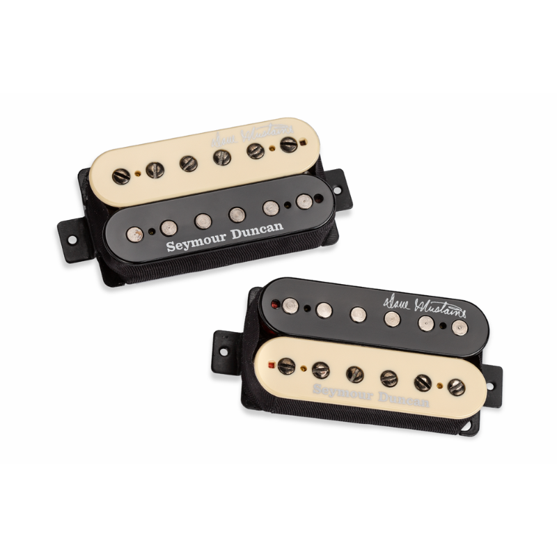 Seymour Duncan Thrash Factor Pickup Set - Zebra Color