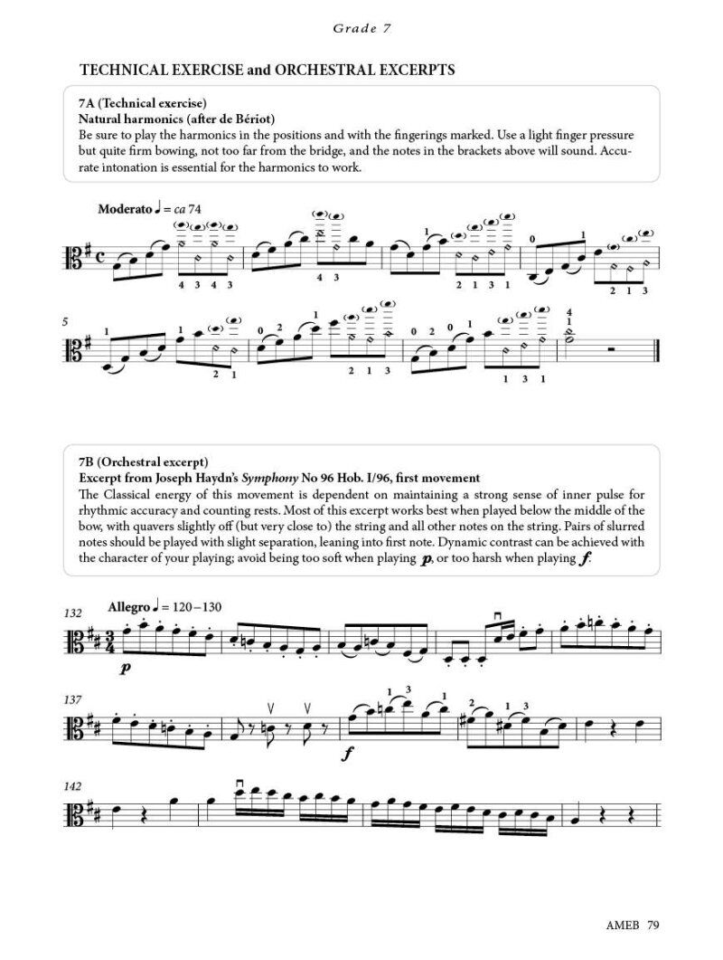 Viola Technical Workbook 2023 AMEB for Comprehensive Examinations — view 4
