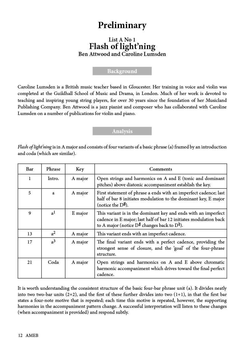 AMEB Violin Series 10 Handbook Level 1 Preliminary to Grade 4 — view 3