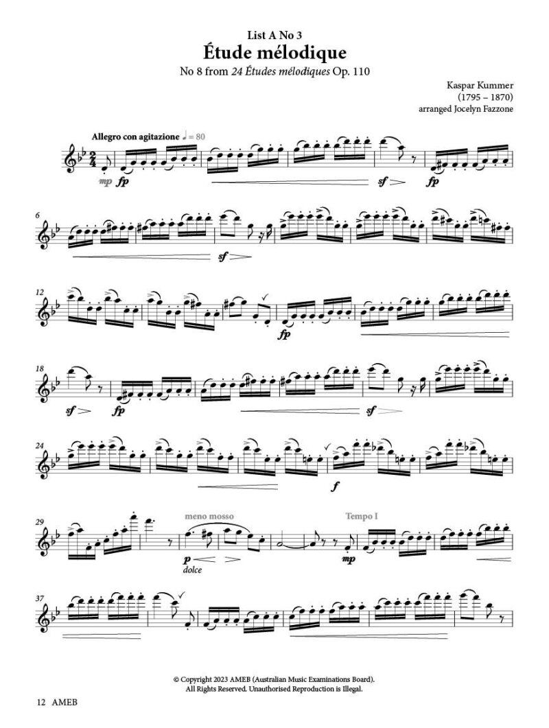 AMEB Flute Series 4 Grade 6 Grade Book — view 3
