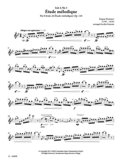 AMEB Flute Series 4 Grade 6 Grade Book — view 3