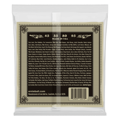 Ernie Ball Earthwood Phosphor Bronze Acoustic Bass String, 45-95 Gauge — view 2