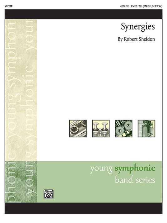 Synergies CB Grade 2.5 Conductor Score