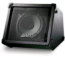 Ashton BSK158 (Anz) Busker Amp