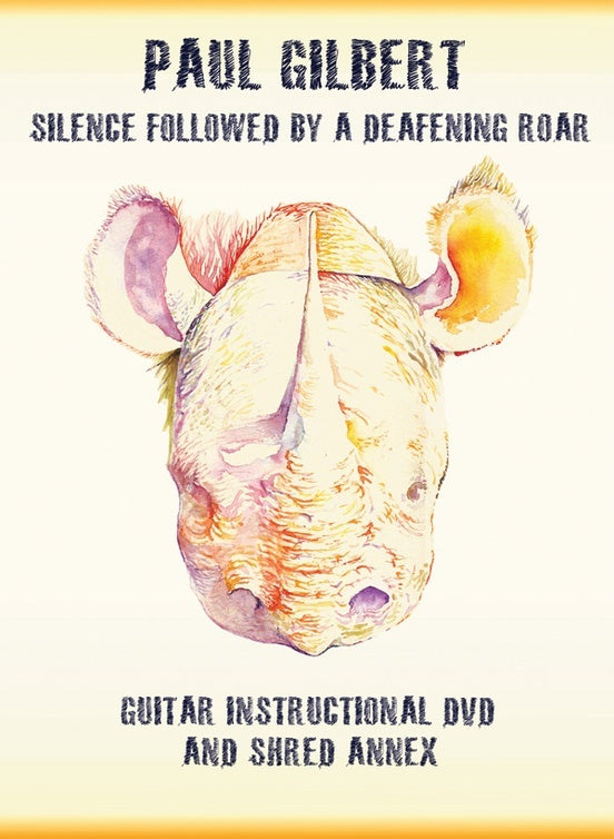 Silence Followed by a Deafening Roar DVD