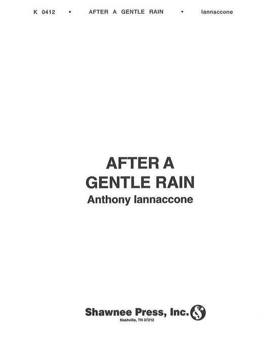After A Gentle Rain Concert Band