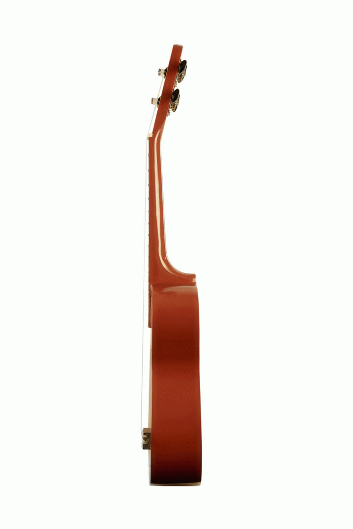 Ashton UKE110NG Ukulele With Bag — view 3